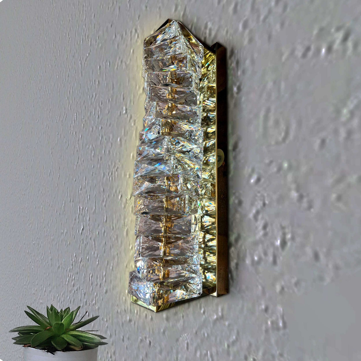 Crystal wall sconce on a white wall with a small plant in the foreground.