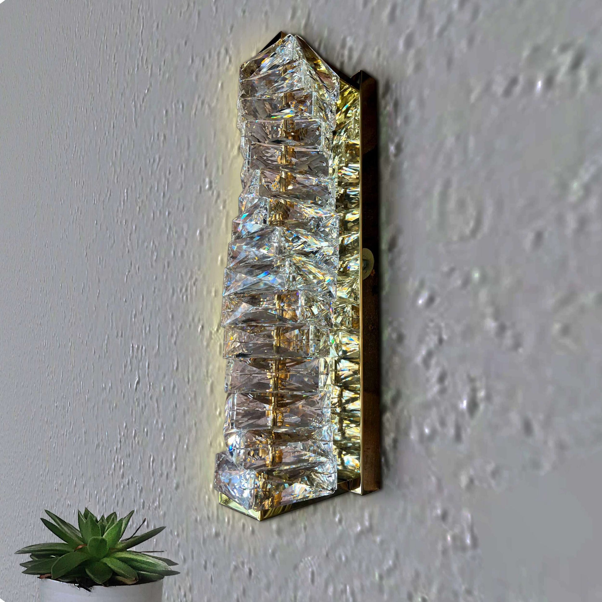 Crystal wall sconce on a white wall with a small plant in the foreground.