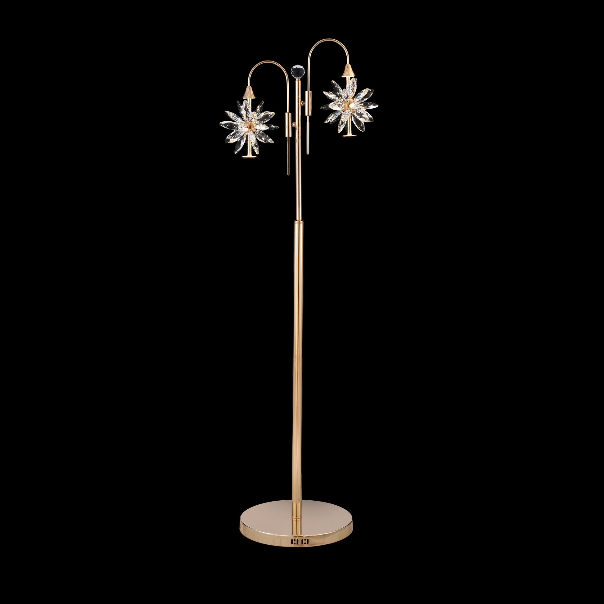 Decorative floor lamp with crystal accents on a black background